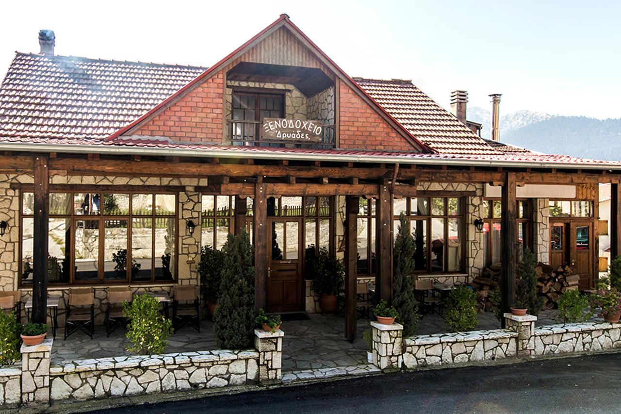 Hotel Dryades Elati  Exterior photo